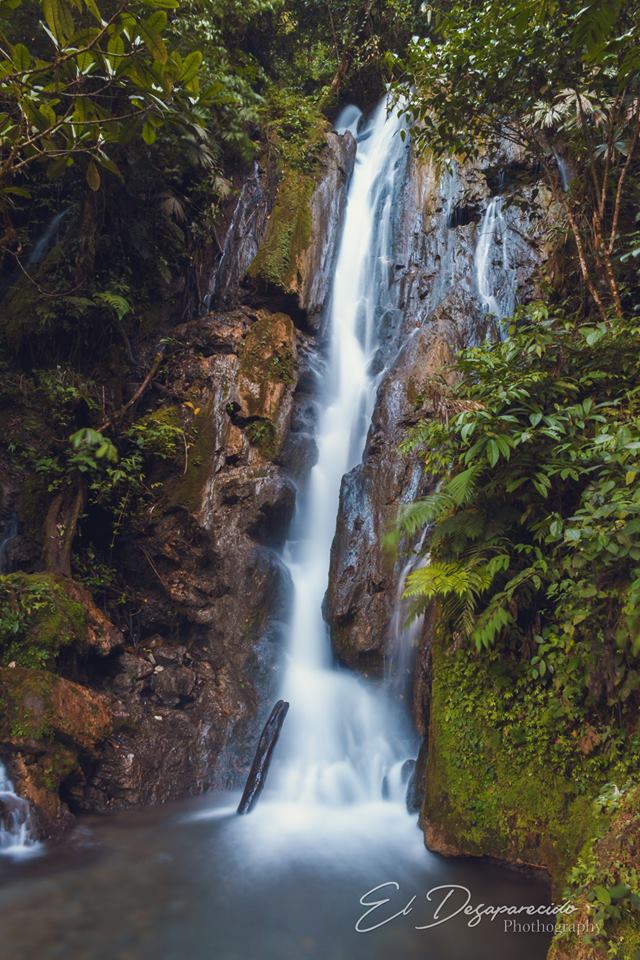 Catarata Honolulu